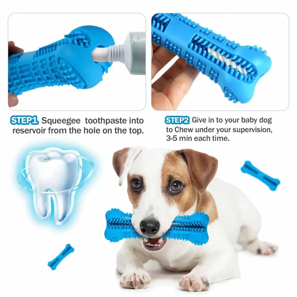 jouets pour chiens