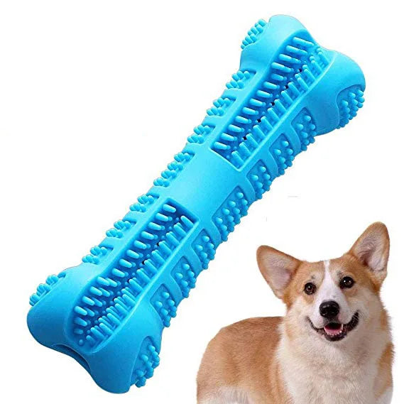 jouets pour chiens
