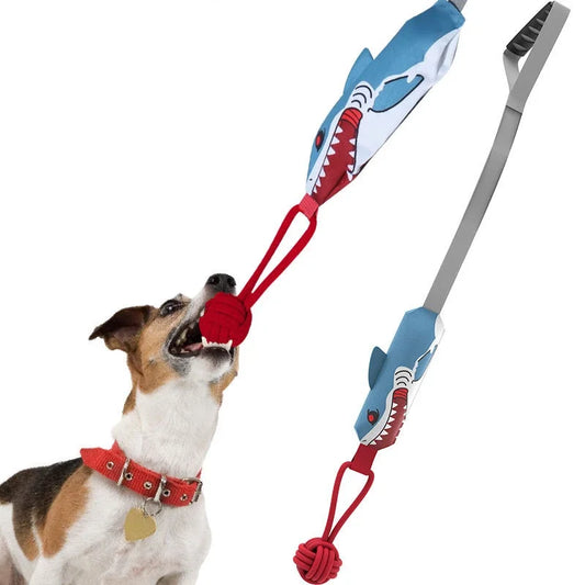 jouets pour chiens