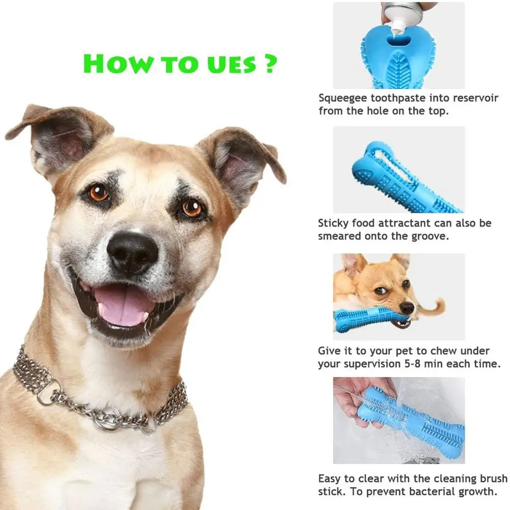 jouets pour chiens