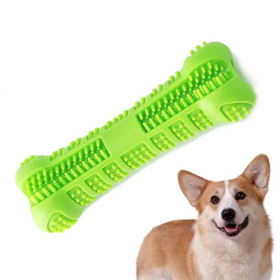 jouets pour chiens