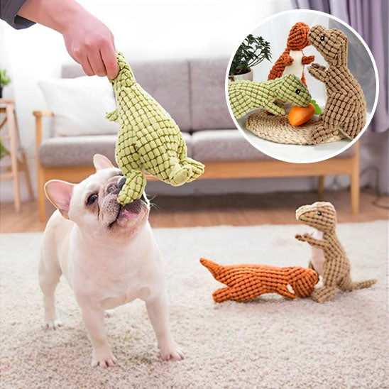 jouets_pour_chiots