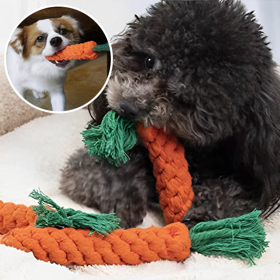 Jouet pour Chien  |   CarottePlushChew™