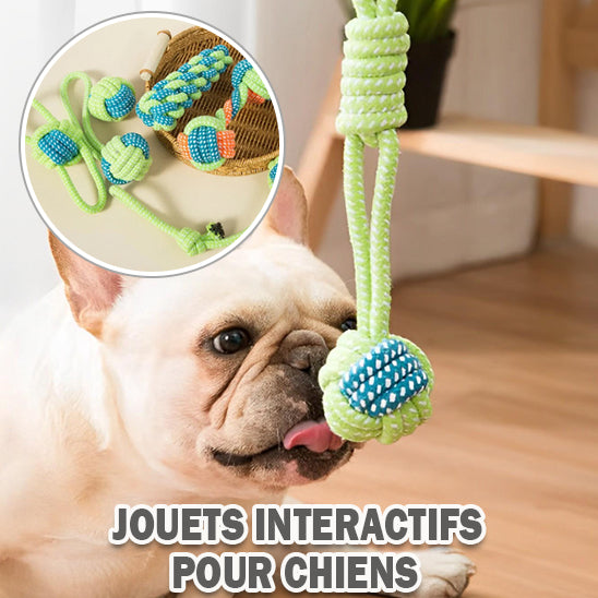 jouets pour chiots